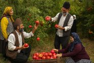 «انار ایرانی؛ گنج قرمز فراموش‌شده در بازار جهانی میوه‌ها»
