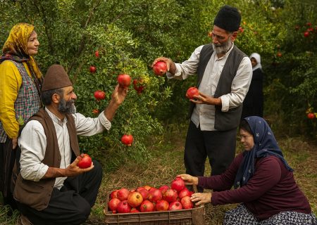 «انار ایرانی؛ گنج قرمز فراموش‌شده در بازار جهانی میوه‌ها»