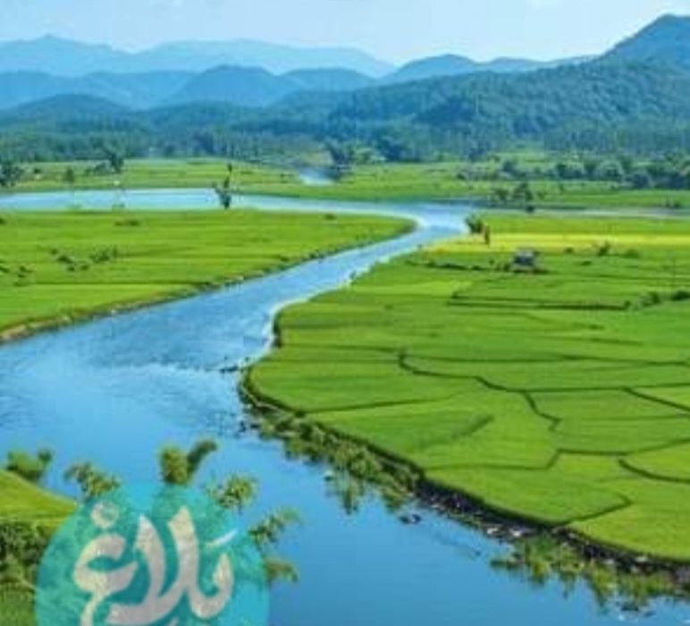 بدون مشارکت کشاورزان، مدیریت آب کامل نمی‌شود